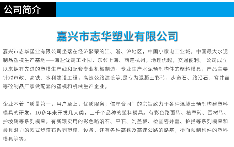 供應(yīng)嘉興條紋磚模具廠家