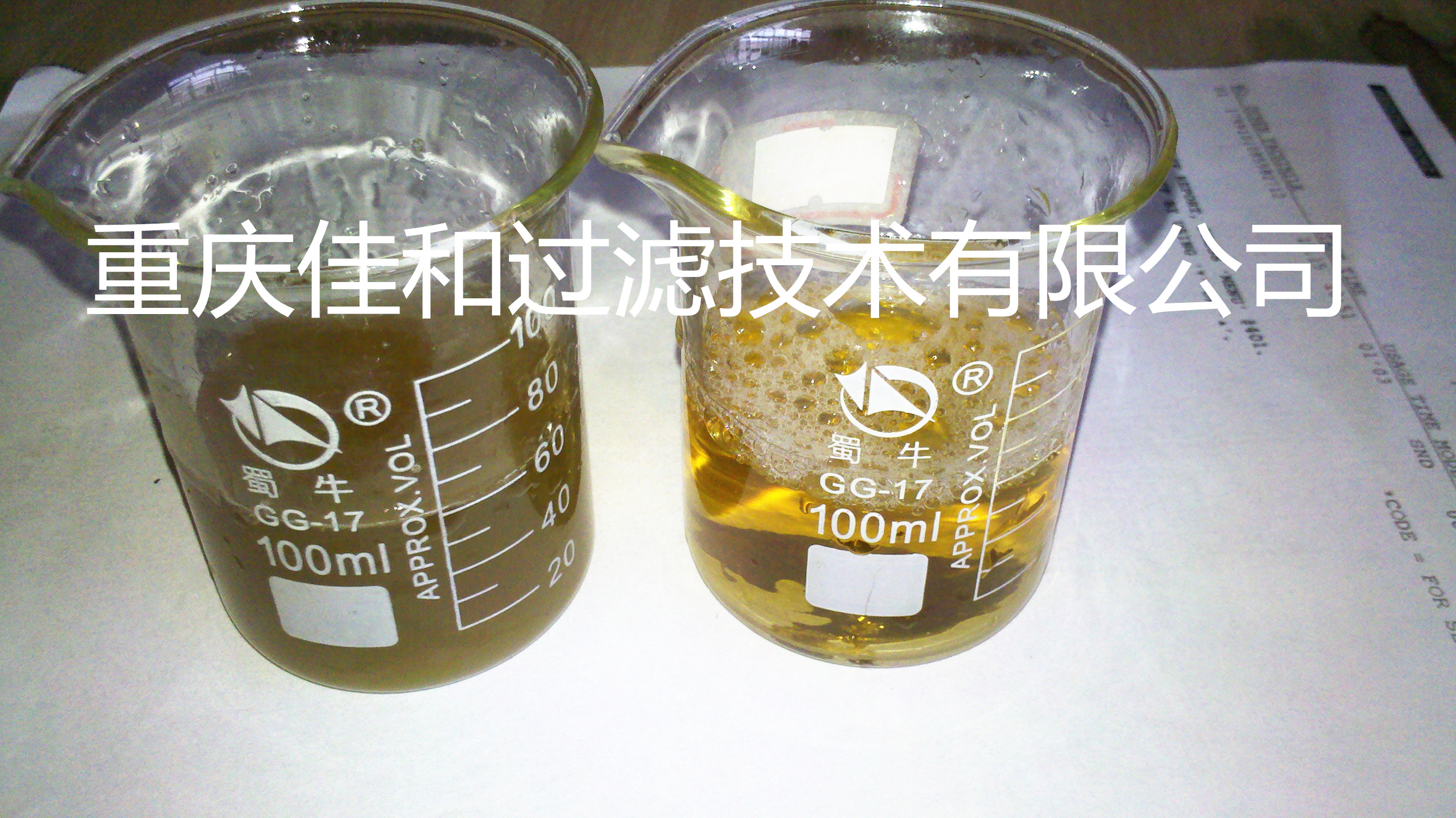 微生物發(fā)酵液提純濃縮膜集成系統(tǒng)