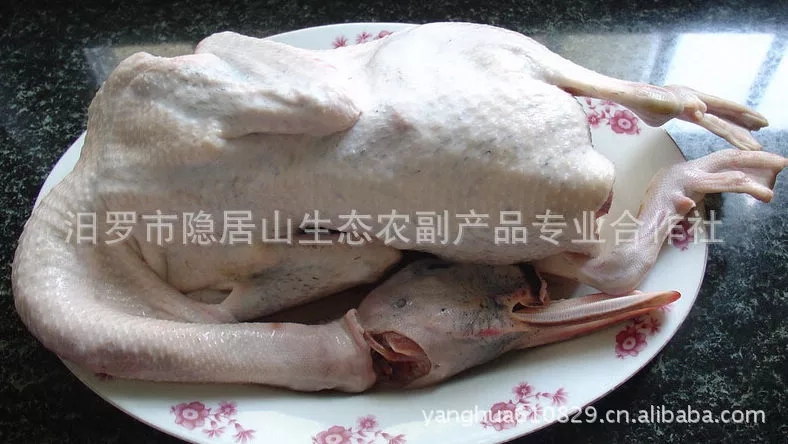 原生態(tài)水鴨 野外放養(yǎng)水鴨