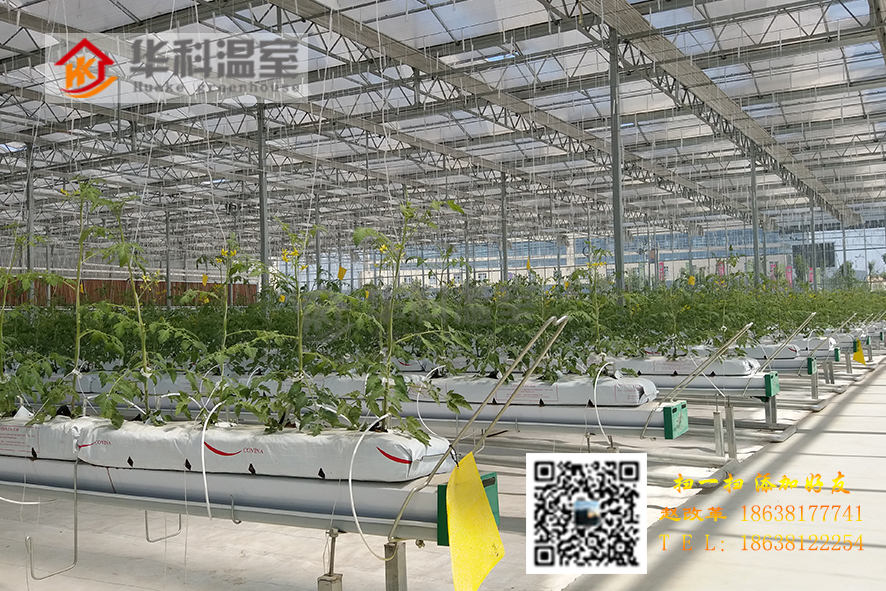 河南鄭州|新鄭|中牟溫室大棚廠家價格河南華科溫室工程有限公司