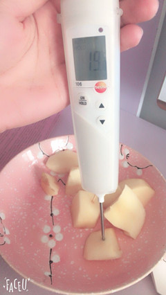 水果溫度計數(shù)顯果心溫度計 德圖中心溫度計 進口溫度測量儀