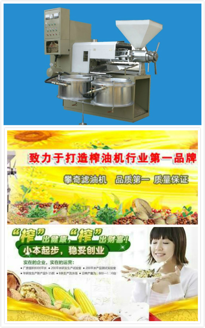 云南榨花生油的設(shè)備 云南小型榨油機(jī)廠 云南榨油機(jī)價(jià)格 榨油機(jī)批發(fā)