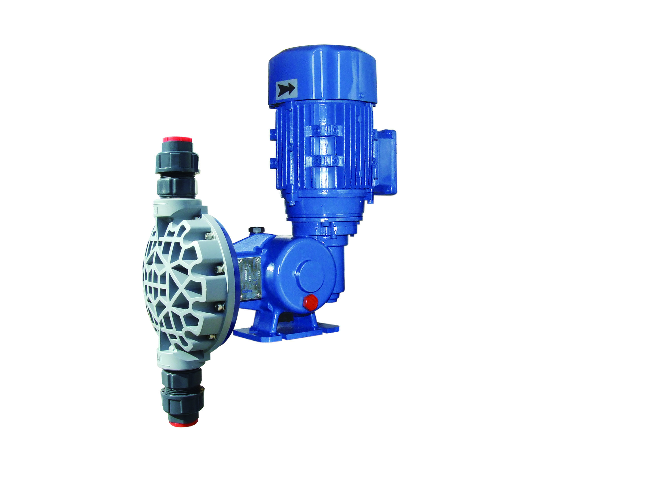 DMS200賽高計(jì)量泵