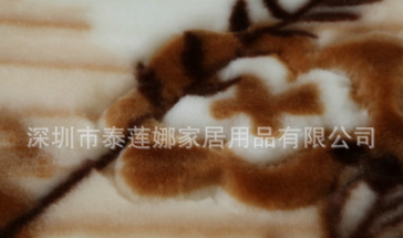 廠家直銷批發(fā) 泰蓮娜 拉舍爾毛毯 印花毛毯 外貿(mào)出口毛毯 批發(fā)