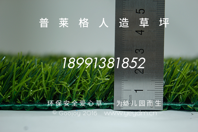 西安人造草坪,西安人造草坪廠家,人造草坪直銷,人工草皮