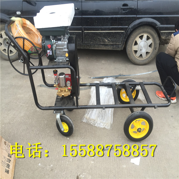 農(nóng)用打藥機 魯嘉直銷手推式打藥機 果園大棚除蟲用具