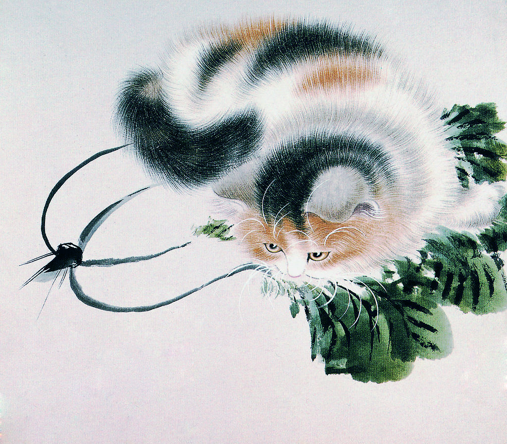 貓咪過(guò)敏性鼻炎的防治