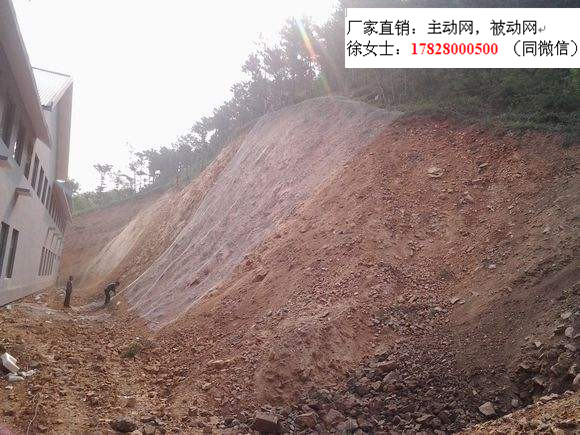 邊坡主動(dòng)網(wǎng)/sns柔性主動(dòng)網(wǎng)/GPS2主動(dòng)網(wǎng)廠家價(jià)格便宜
