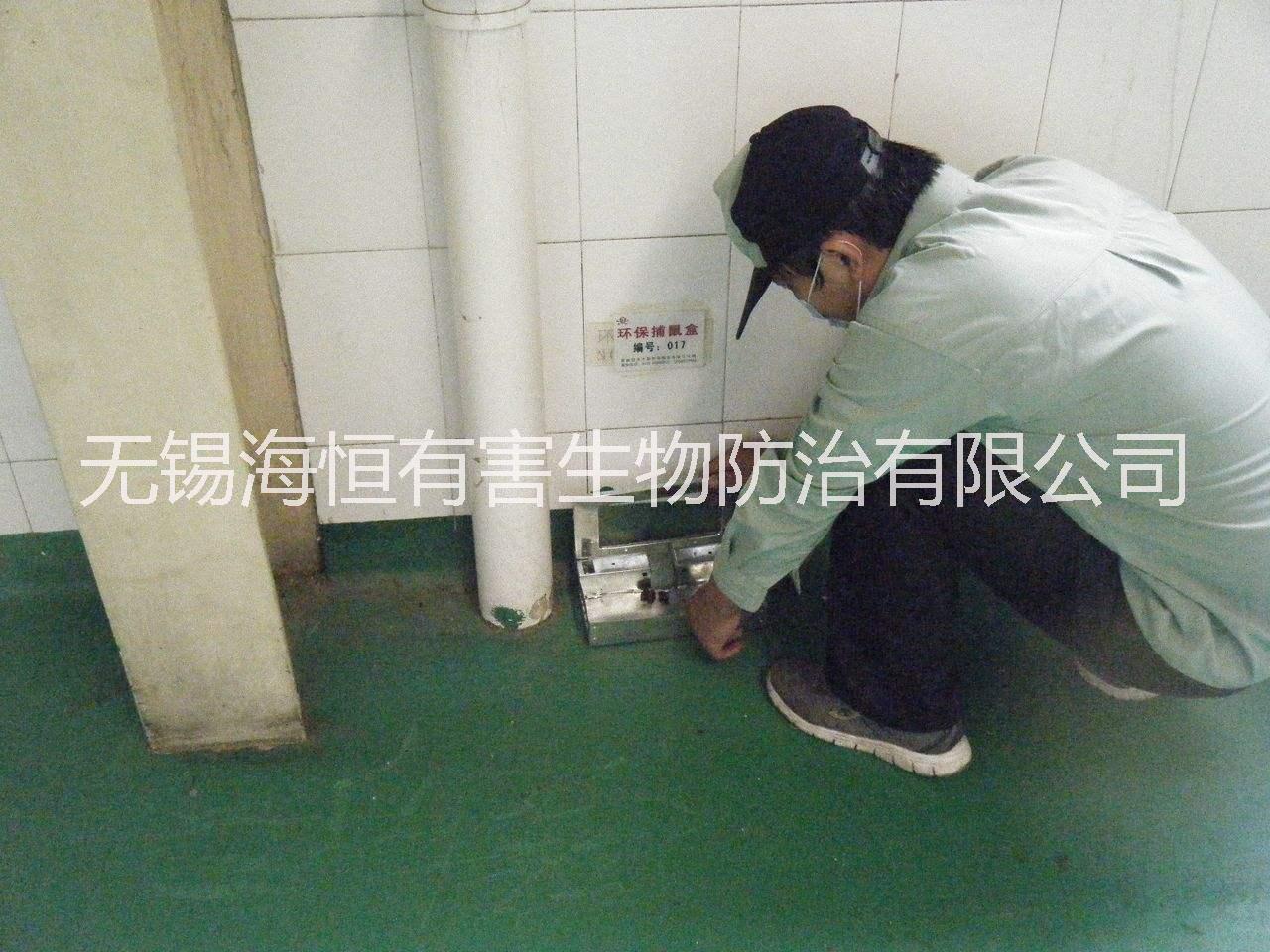 家里有老鼠怎么辦，無錫滅鼠公司