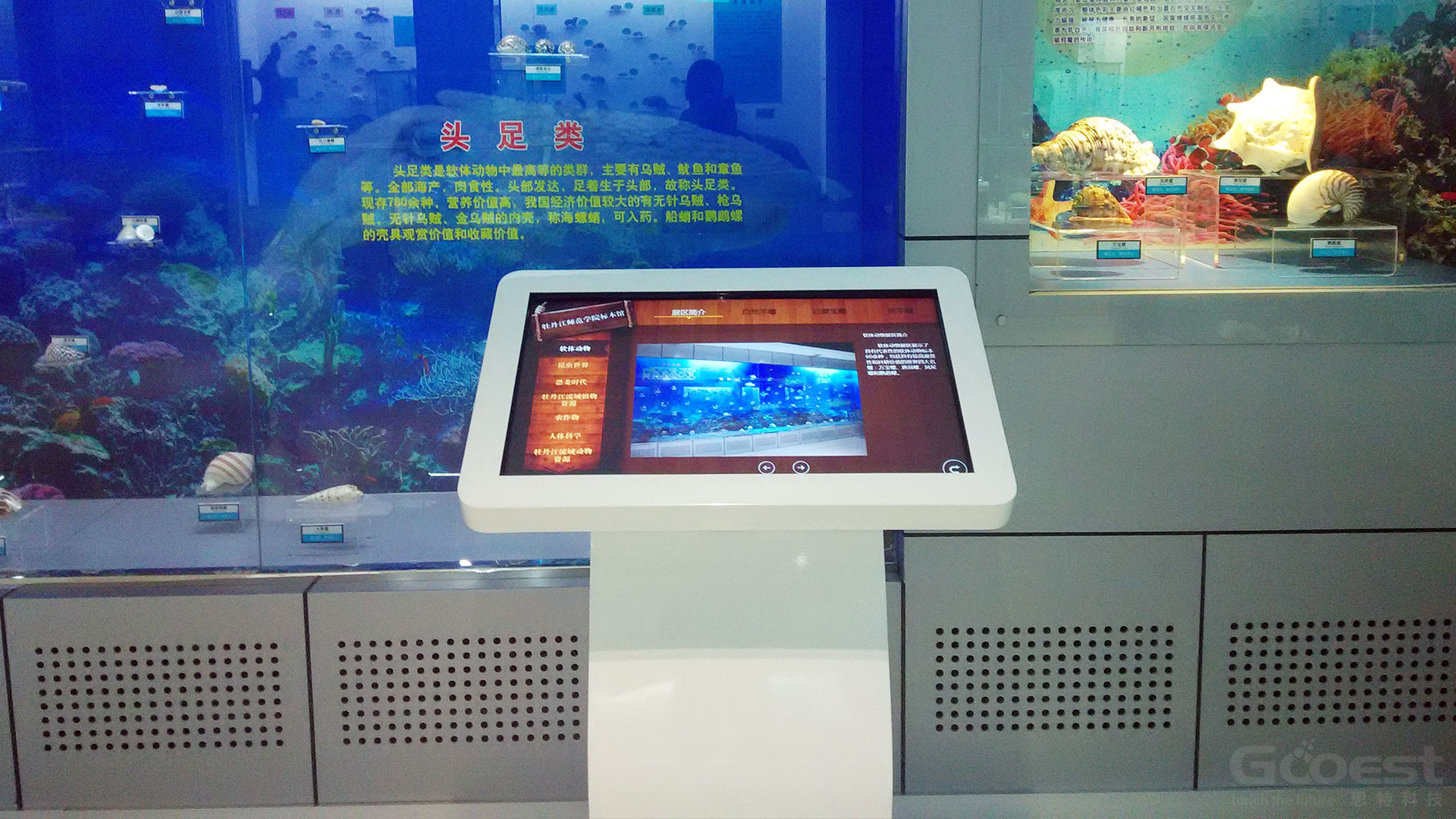 展館多媒體技術(shù) 展館展廳多媒體技術(shù)互動投影設(shè)備