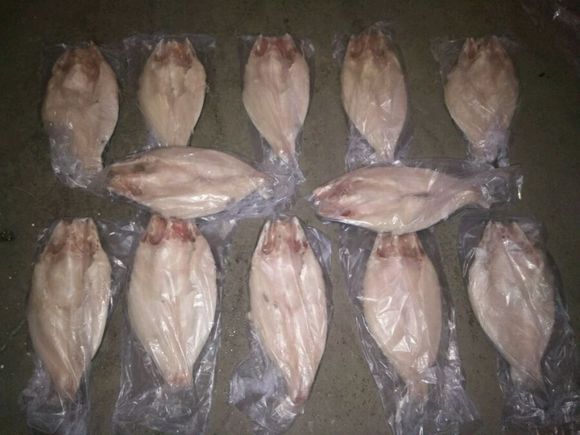 轉(zhuǎn)爐烤魚 嘉億小康轉(zhuǎn)爐烤魚