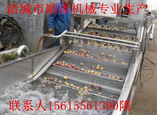 專業(yè)供應(yīng) 杏子清洗機 藍莓清洗機 氣泡清洗機