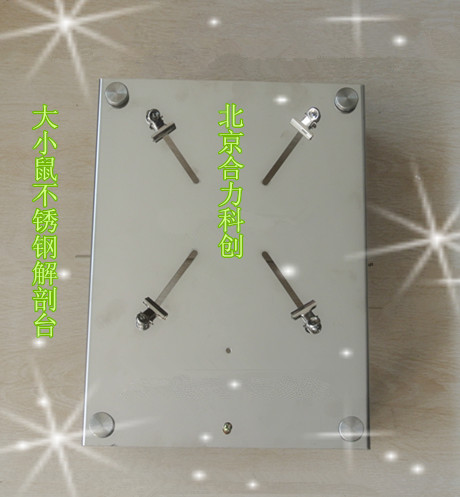 小鼠 蛙解剖臺(tái) 價(jià)格