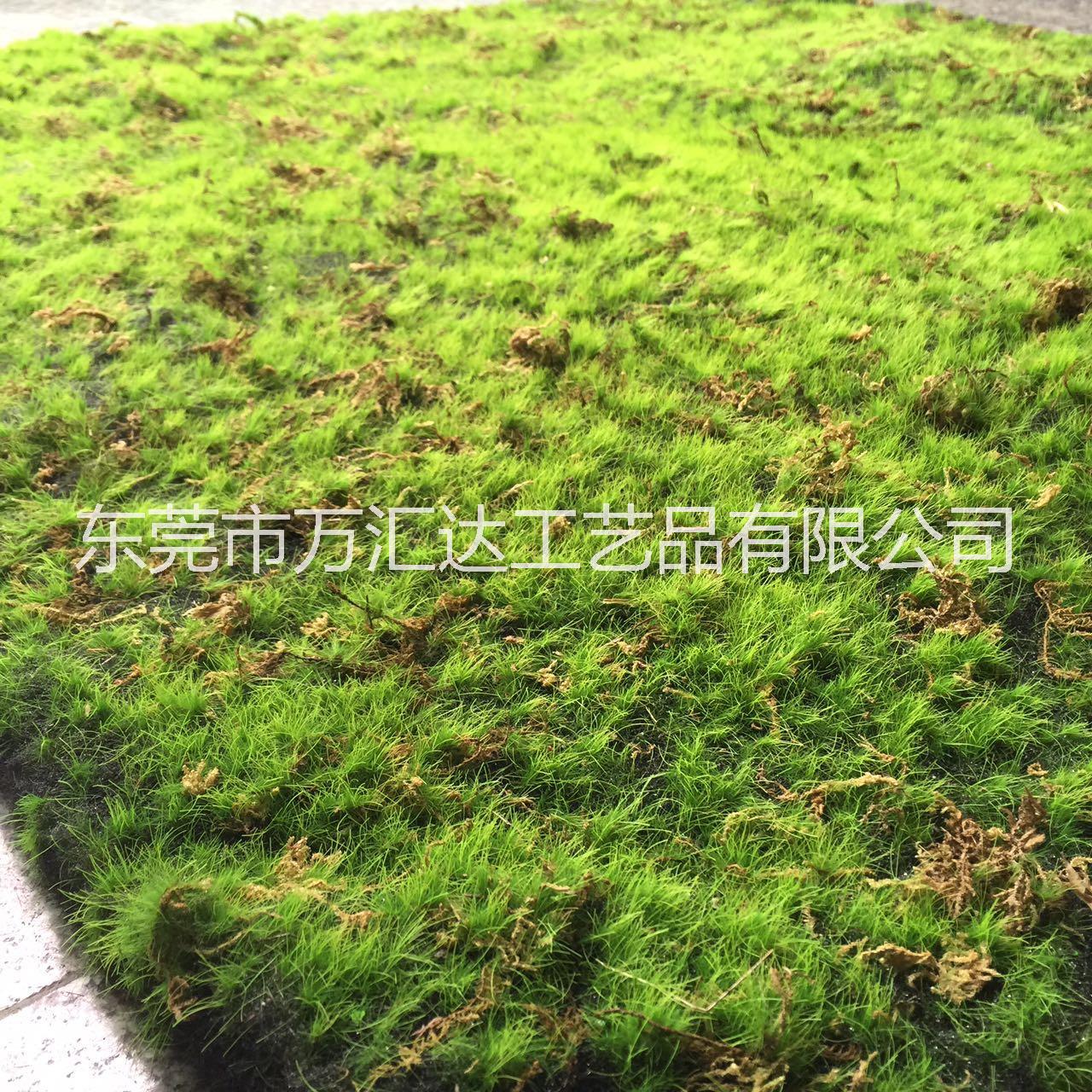 仿真青苔草皮微景觀墻面綠草裝飾苔蘚草坪多肉植物相框盆景仿真花 青苔草坪 青苔草坪仿真青苔草皮
