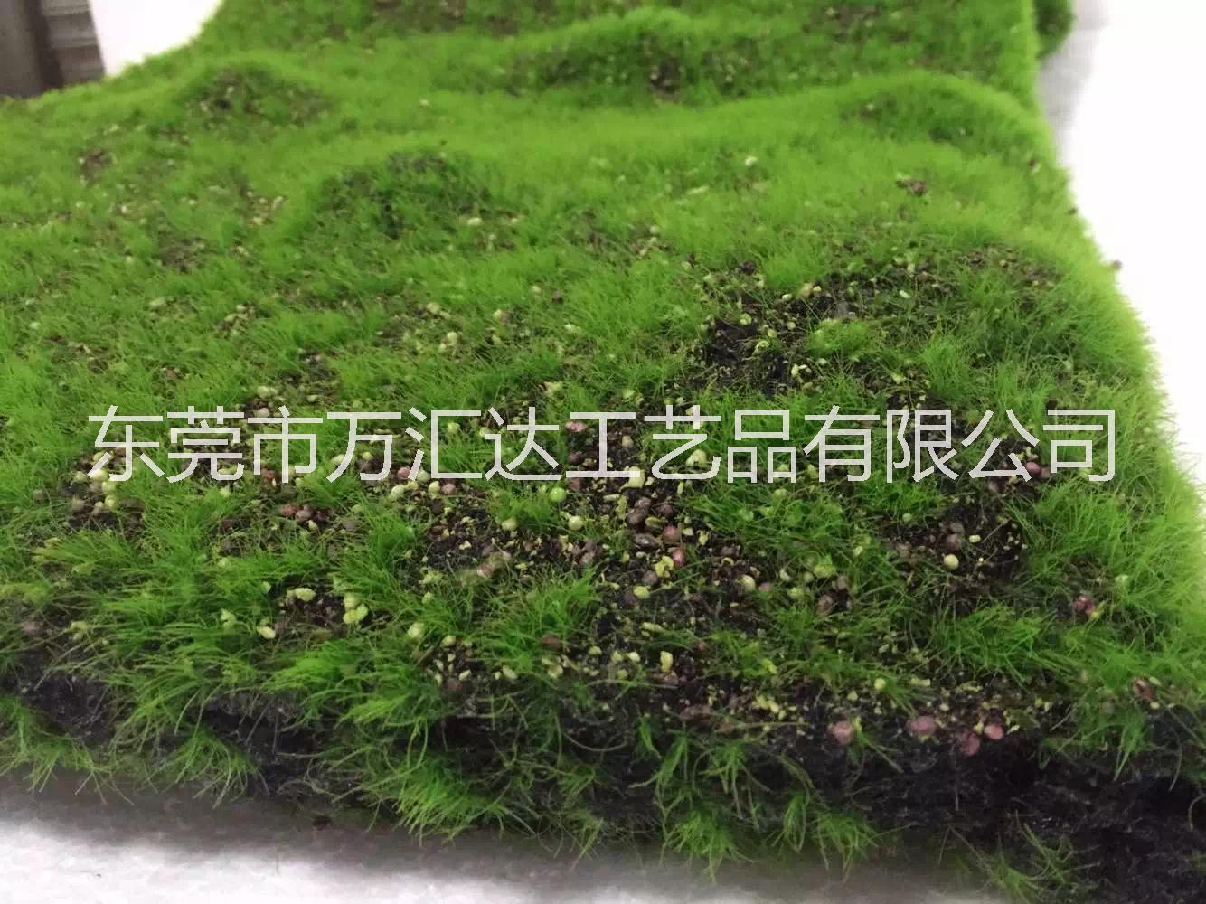 仿真青苔草皮微景觀墻面綠草裝飾苔蘚草坪多肉植物相框盆景仿真花 青苔草坪 青苔草坪仿真青苔草皮