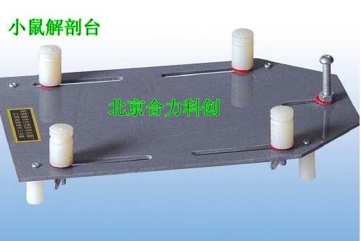 小鼠 蛙解剖臺(tái) 價(jià)格