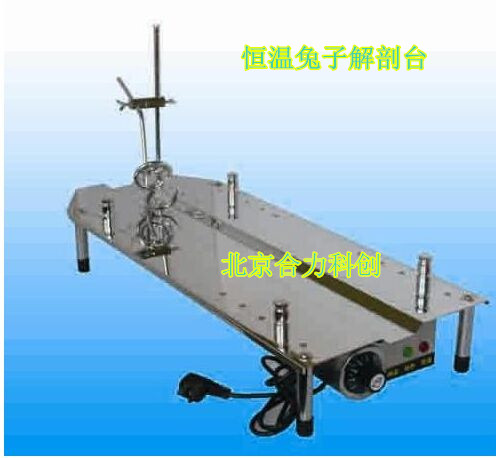 兔子、大鼠兩用解剖臺  現(xiàn)貨