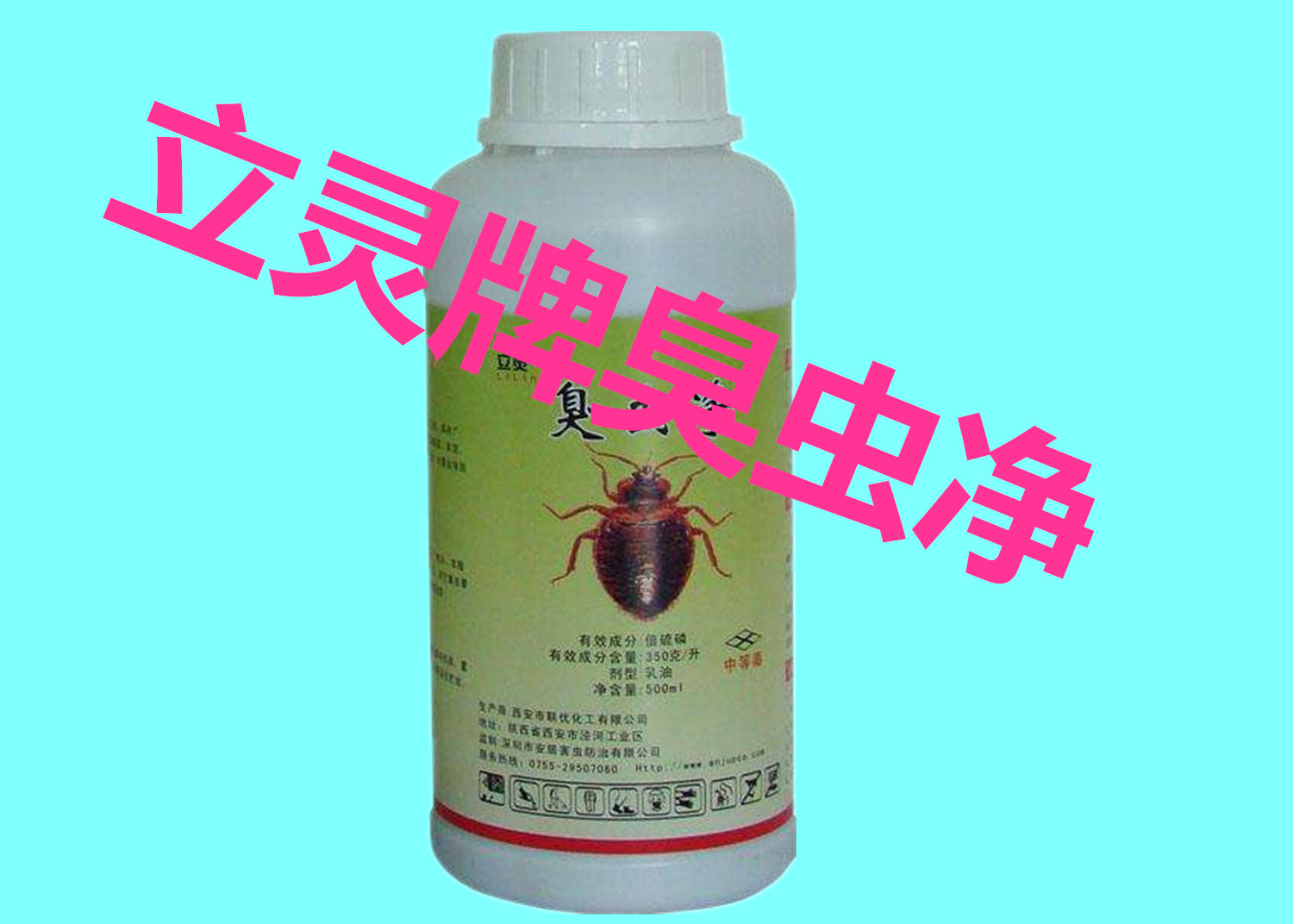臭蟲凈