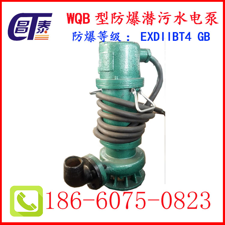 廠(chǎng)家直銷(xiāo) WQB防爆排污潛水泵 防爆潛水泵 排污排沙泵 無(wú)堵塞 長(zhǎng)期供應(yīng)