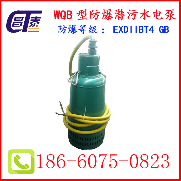 江西 WQB系列防爆排污潛水泵 排污排沙泵 無(wú)堵塞 安全* 廠(chǎng)家 報(bào)價(jià)