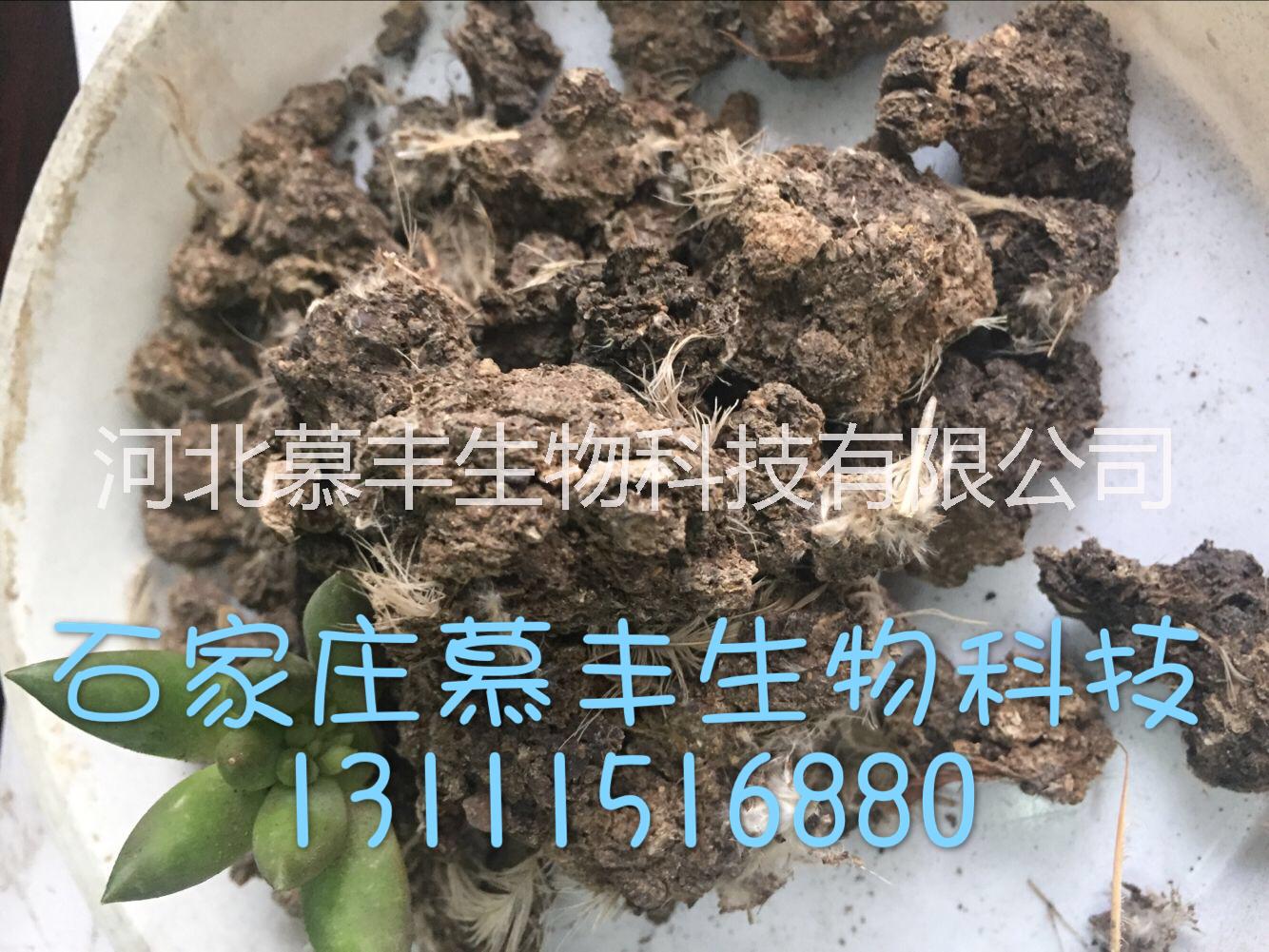 幕豐雞糞發(fā)酵有機(jī)肥 干雞糞 顆粒有機(jī)肥 豬糞 羊糞 牛糞  生物有機(jī)肥 微生物 菌肥 幕豐雞糞發(fā)酵有機(jī)肥 菌肥