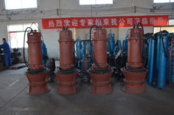 900QZB-100潛水軸流泵