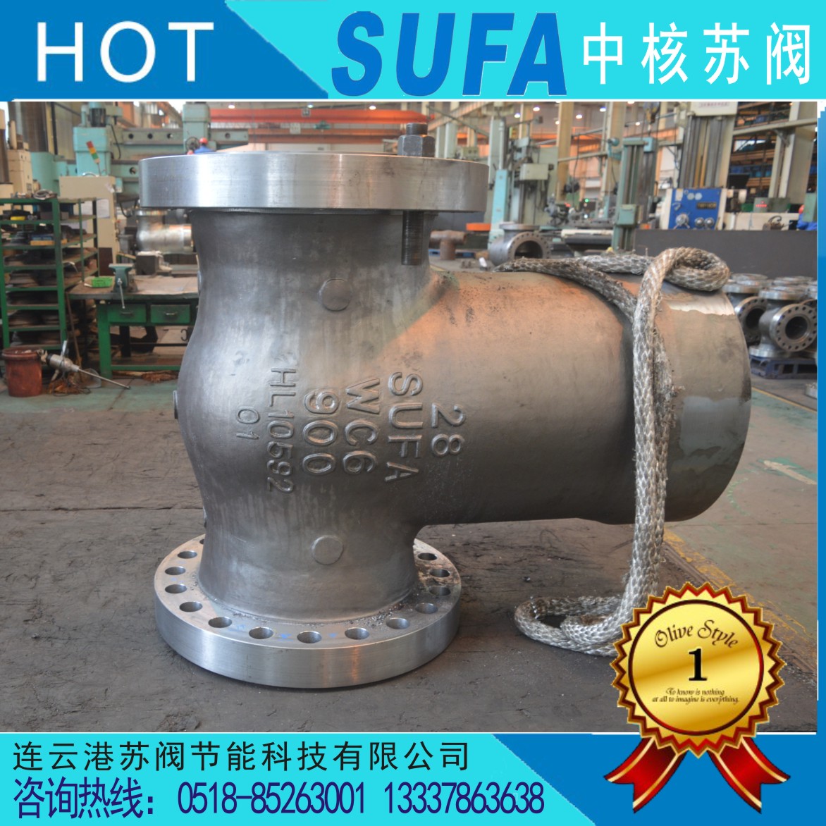 中核蘇閥 品牌閥門(mén)銷(xiāo)售廠(chǎng)家