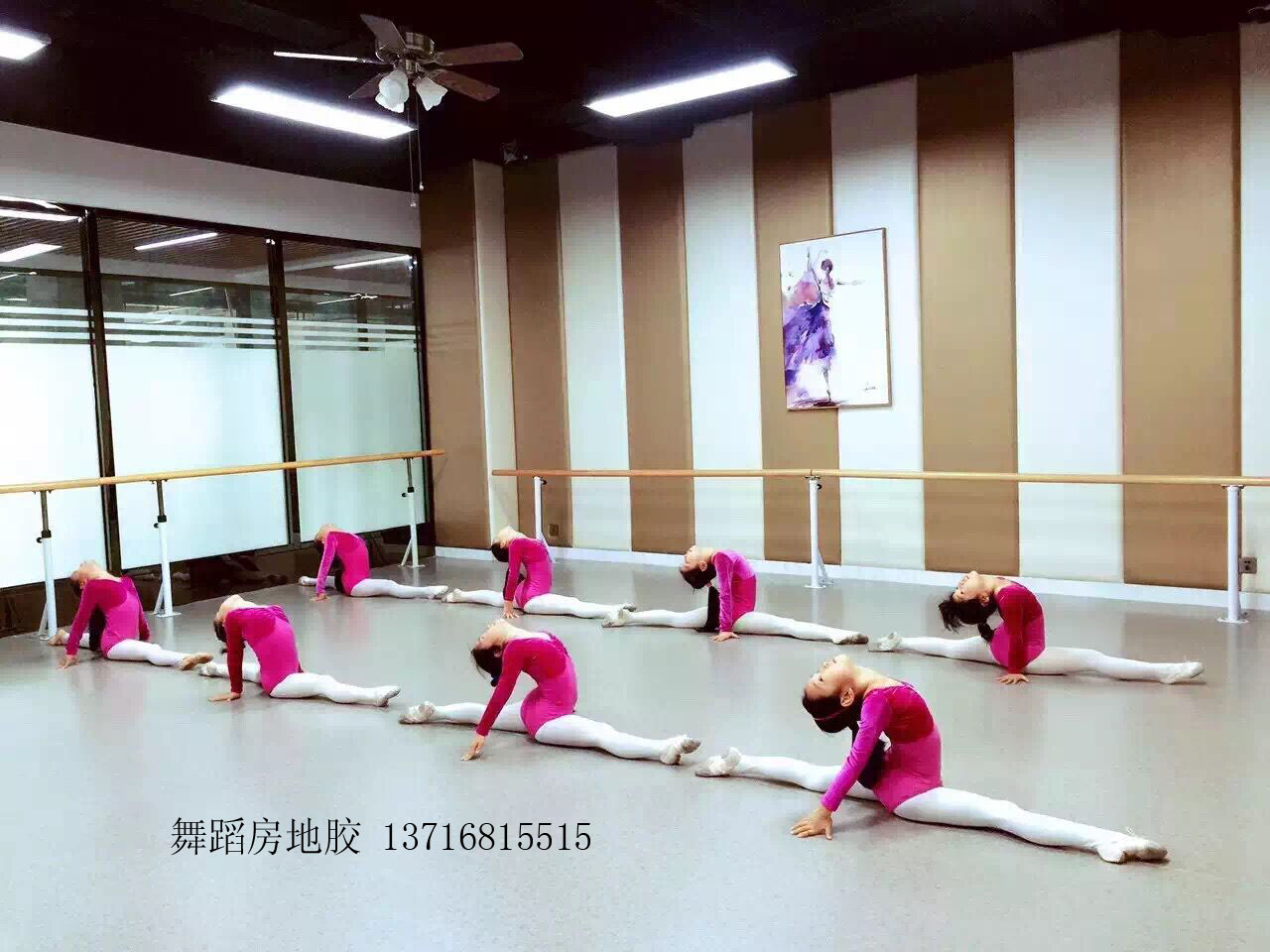 舞蹈教室/*舞蹈地板地 *舞蹈地板地膠