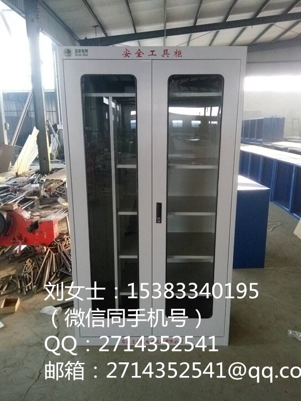 廠家供應(yīng) 全智能安全儲(chǔ)物柜 可加工定制