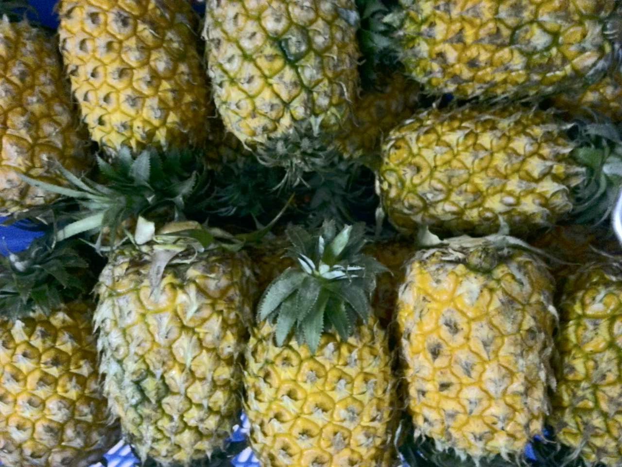 黃埔蔬菜配送公司、黃埔食材配送，紅豆蔬菜配送更專業(yè)、更實在的