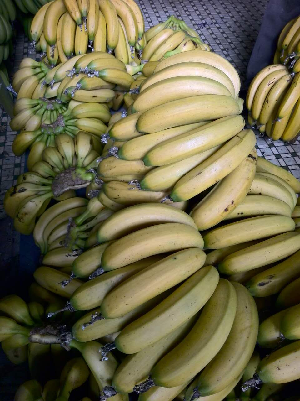 黃埔蔬菜配送公司、黃埔食材配送，紅豆蔬菜配送更專業(yè)、更實在的