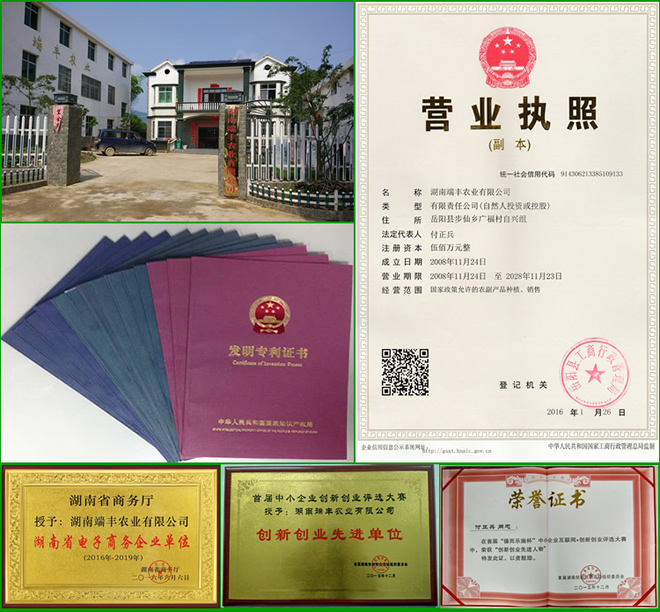2017年甜象草種節(jié)_皇竹草種節(jié) 2017年甜象草皇竹草種節(jié)批發(fā)