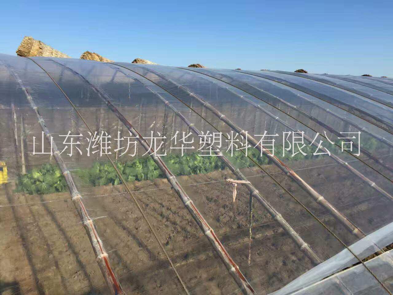 PO膜  PVC膜 流滴膜 農(nóng)膜 PO膜  PVC膜 大棚膜 農(nóng)膜