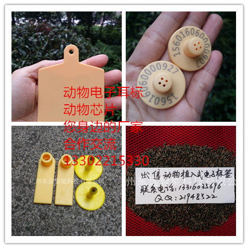 超高 超高頻電子牛耳標(biāo)