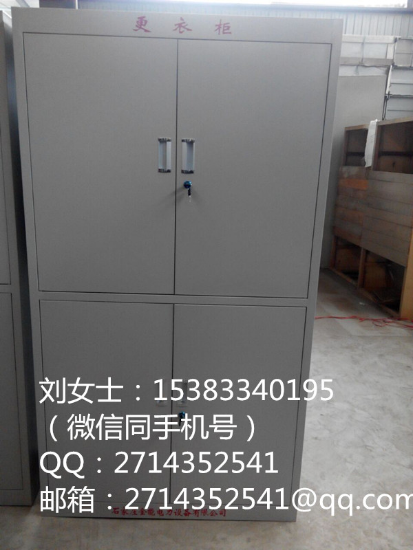 廠家供應(yīng) 全智能安全儲(chǔ)物柜 可加工定制