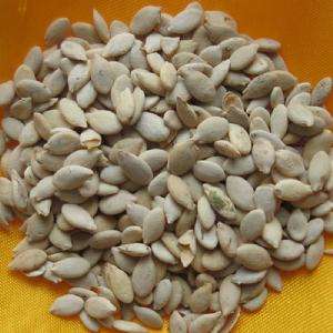 甘肅黃瓜子出售@甘肅黃瓜子電話@甘肅收購黃瓜子 水洗黃瓜子