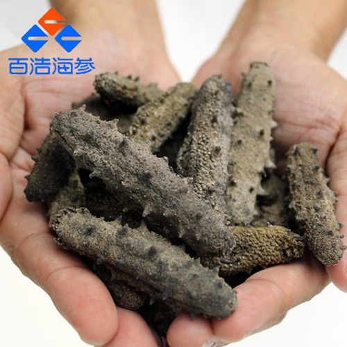 百浩牌 *淡干海參禮盒 500g 60-70頭 *淡干海參