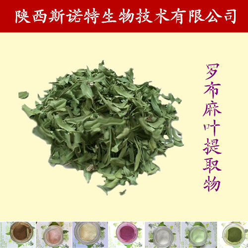 羅布麻葉提取物粉廠家直銷(xiāo) 羅布麻葉提取物粉