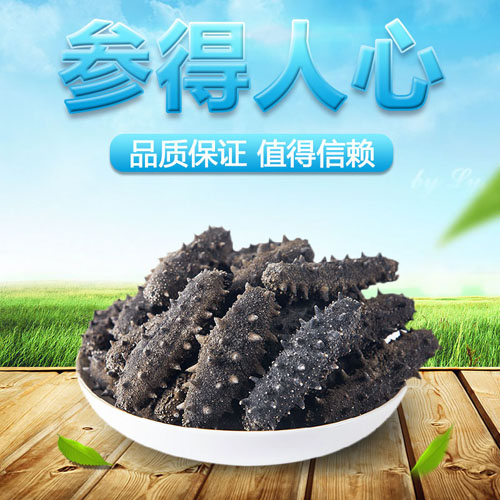 純淡干海參 *百浩牌純淡干刺參禮盒 兩種包裝均可