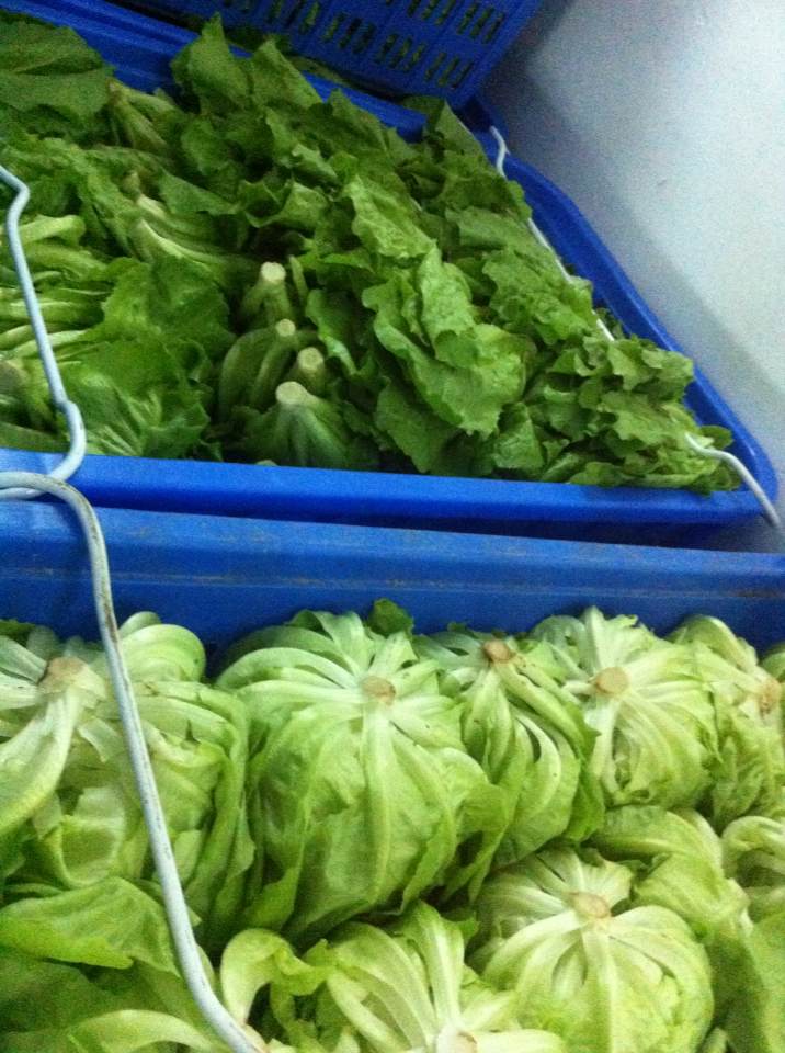 黃埔蔬菜配送公司、黃埔食材配送，紅豆蔬菜配送更專業(yè)、更實在的