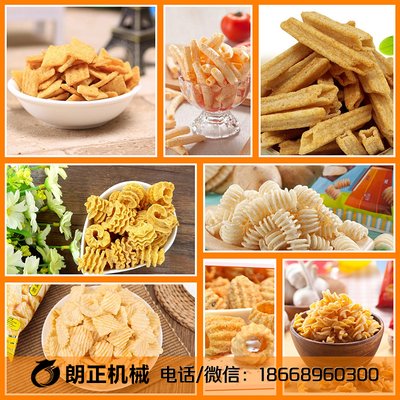 廠家直銷多功能膨化機-濟南朗正