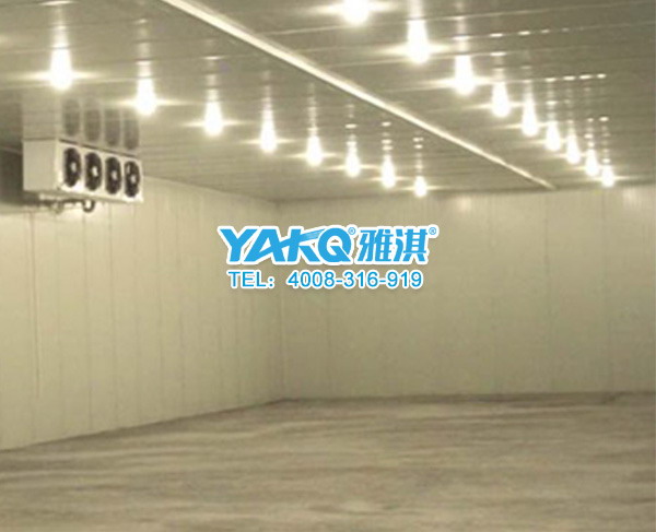 供應(yīng)用于冷藏冷凍的雅淇蔬菜水果肉類醫(yī)藥冷庫安裝建造 雅淇冷庫全套設(shè)備安裝