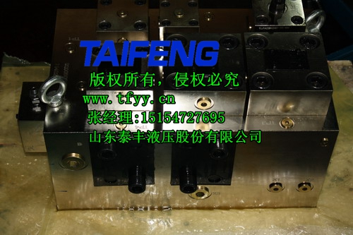 二通插裝閥圖片/ 二通插裝閥廠家/泰豐股份/ 二通插裝閥報(bào)價(jià)/ 二通插裝閥排行