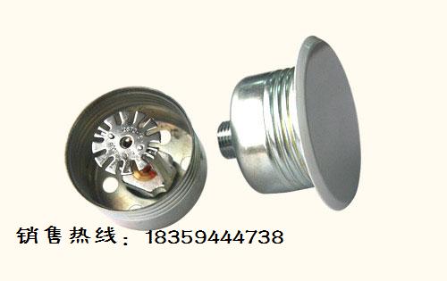 隱蔽式灑水噴頭 隱蔽式噴頭  白沙消防噴頭 遠(yuǎn)紅消防集團(tuán)