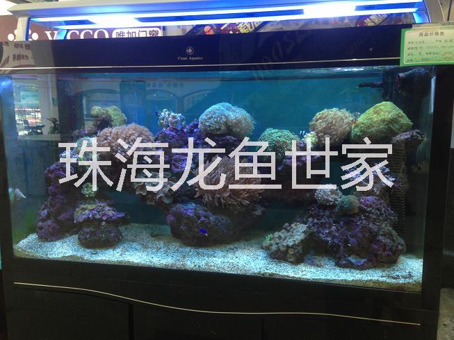 珠海魚(yú)缸定做 酒樓海鮮池定做 超白玻璃魚(yú)缸定做