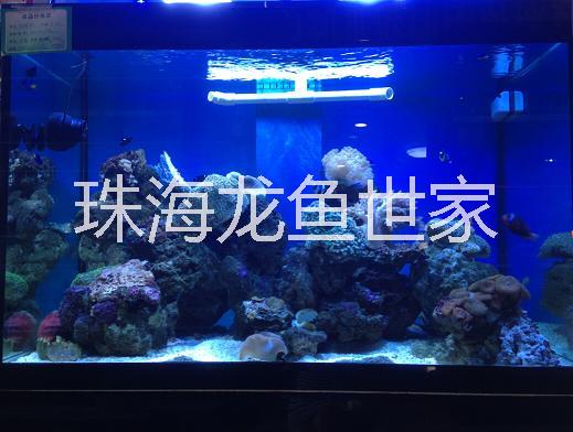 珠海亞克力魚缸批發(fā)零售 大型水族器材批發(fā)