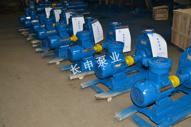 供應(yīng)CYZL-A型直聯(lián)式自吸油泵