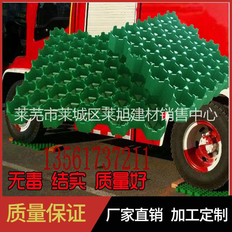 山東植草格廠家停車位植草格園林綠化植草格
