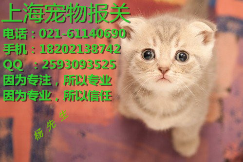 上海寵物報關(guān)公司 、上海入境寵物報關(guān)報檢方法介紹、寵物代理報關(guān)