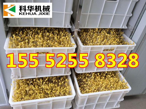 撫順全自動豆芽機 全自動豆芽機價格 商用豆芽機哪個牌子好？